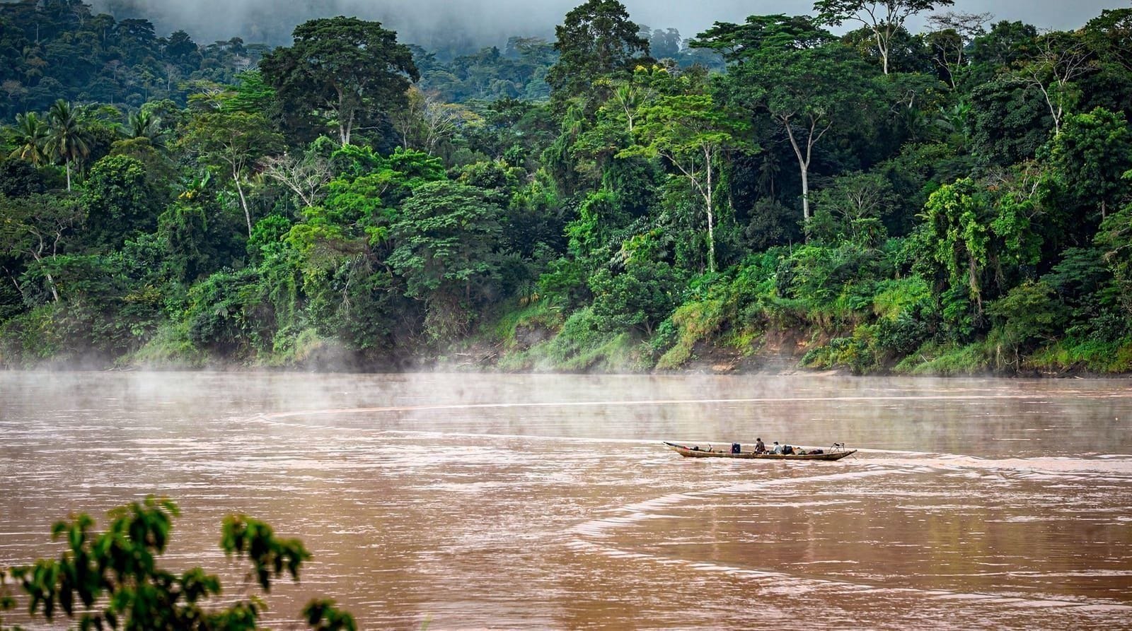 From the Andes to the Amazon — a Tambopata diary — I left Cusco at 11,000 feet and woke up the next morning in the jungle. Three da