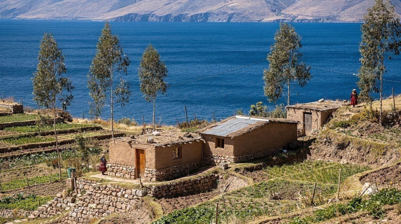 A night on Amantaní: my Lake Titicaca homestay diary — A first-person diary of a Lake Titicaca homestay on Amantaní island — the awkwar