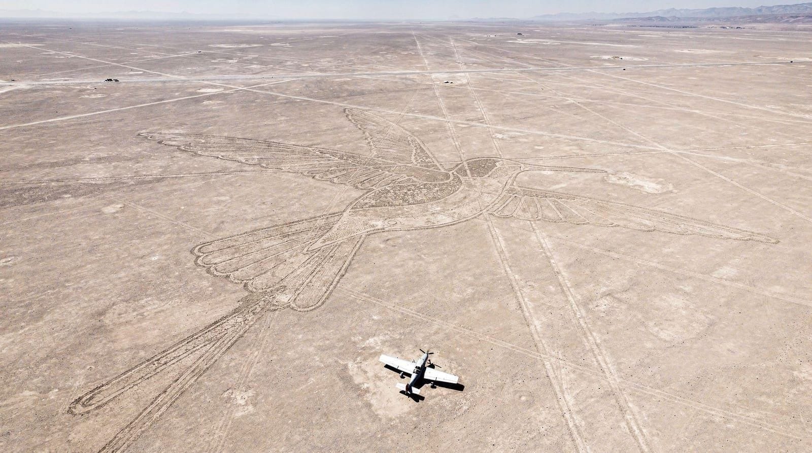 The Nazca Lines from above: a slightly queasy diary — Flying over the Nazca Lines — the tiny plane, the motion sickness, the moment I 