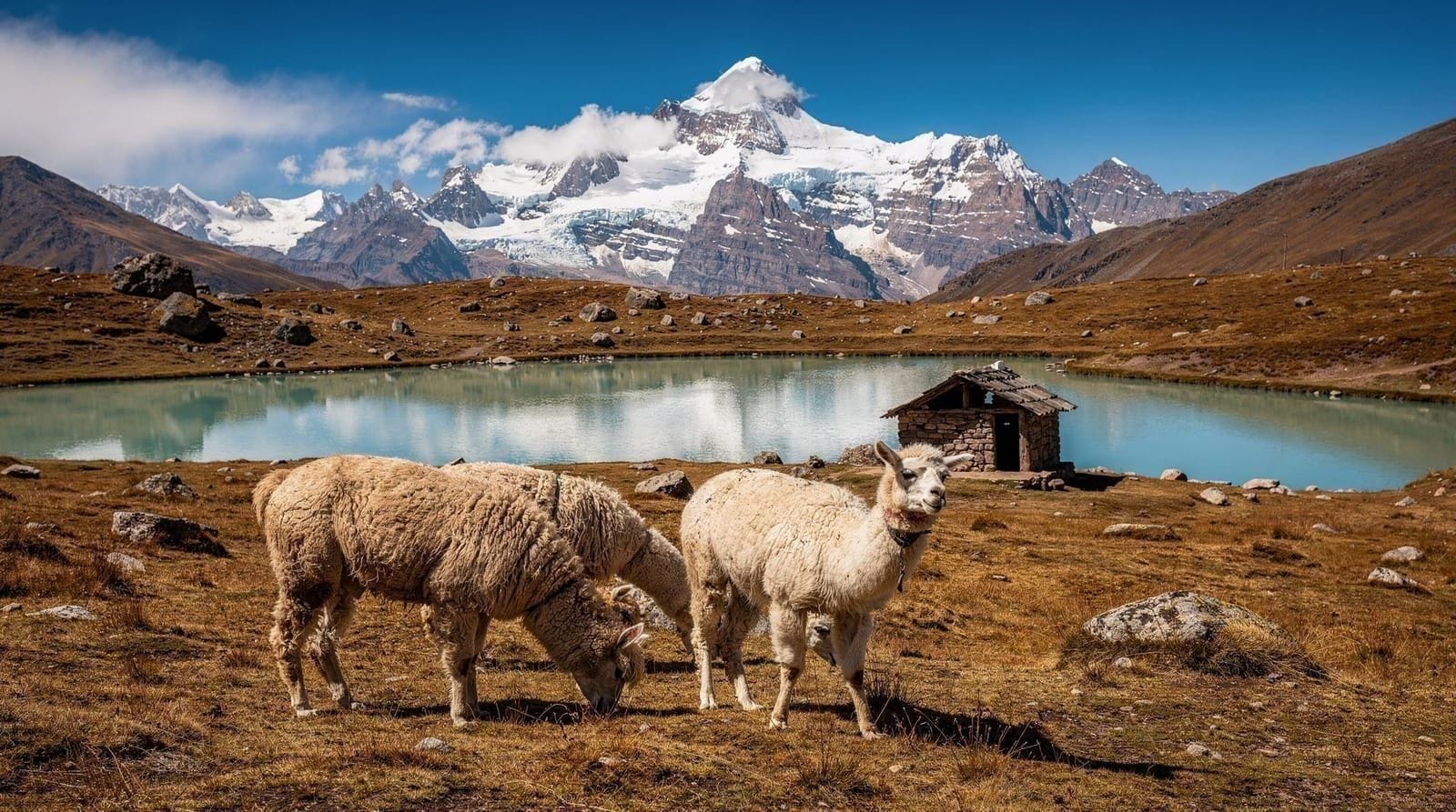 From Cusco: Ausangate Lakes and Glaciers ATV Tour