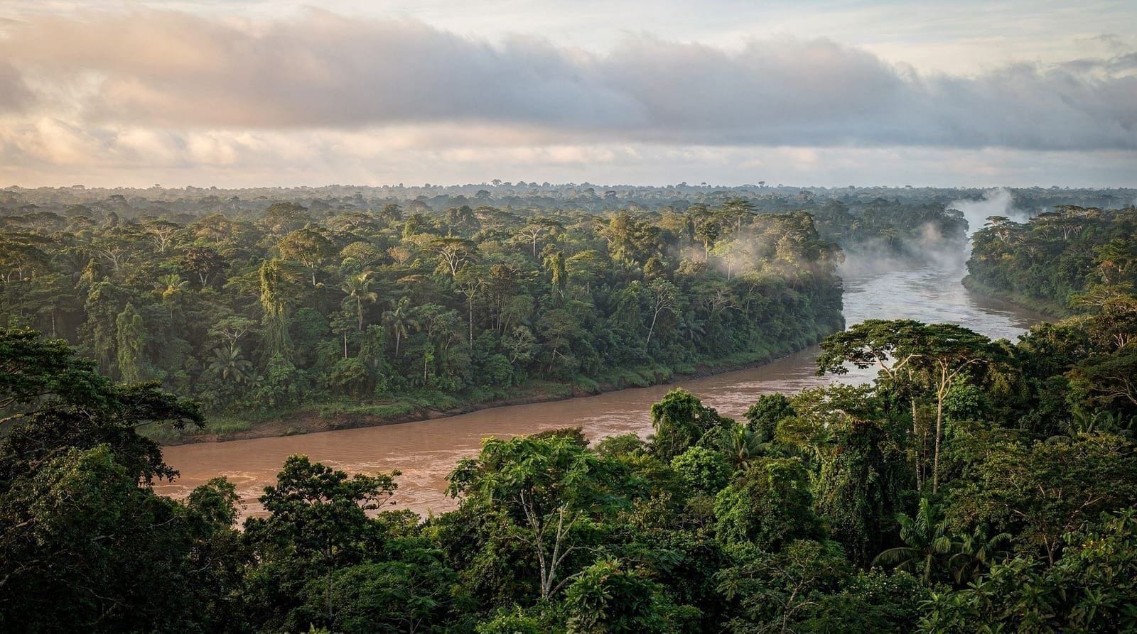 Manu National Park, Cusco and Peru