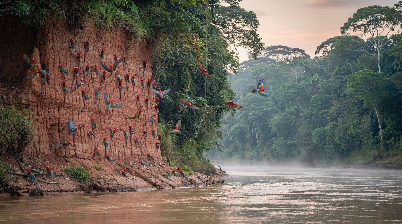 Tambopata National Reserve, Cusco and Peru