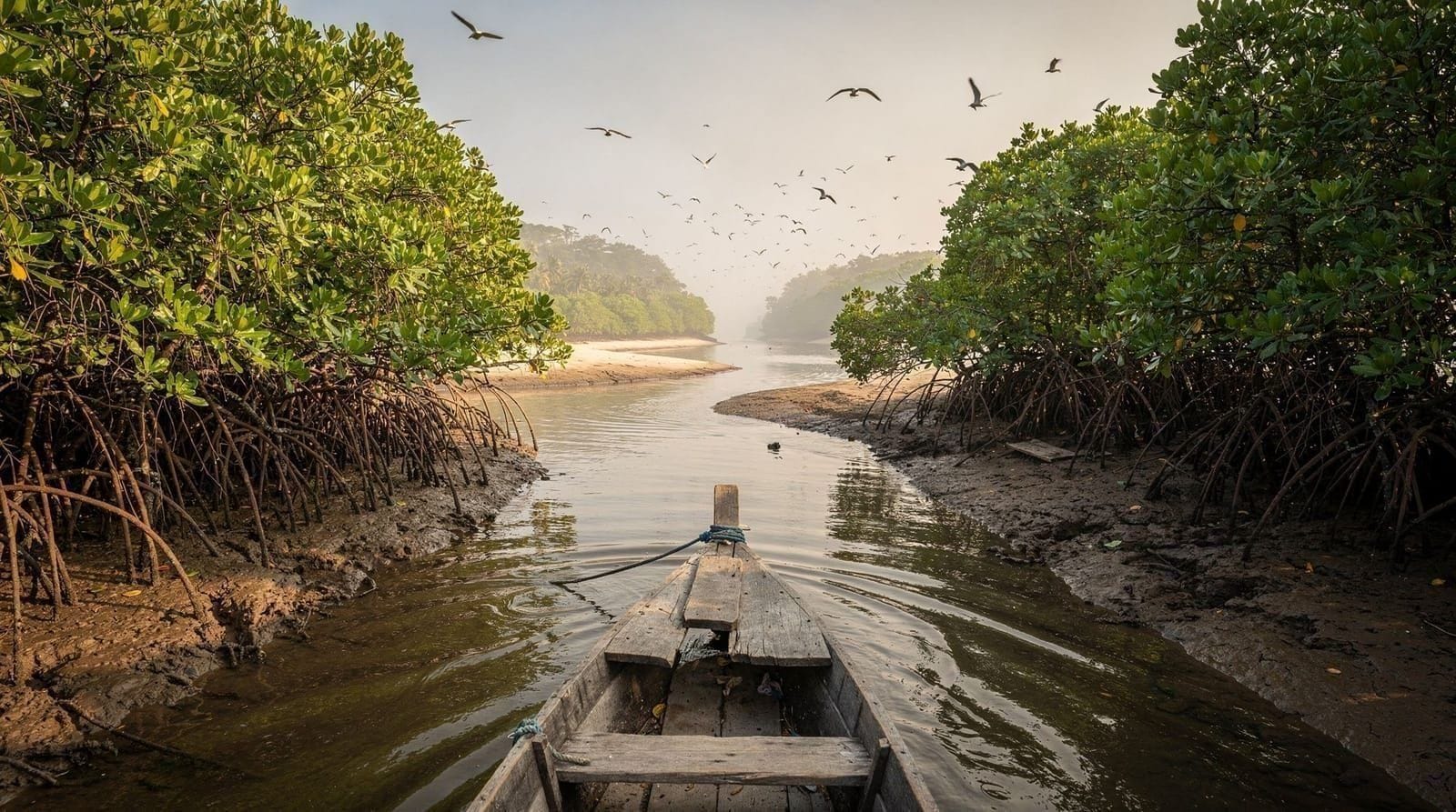 Tumbes mangroves and Puerto Pizarro, Cusco and Peru