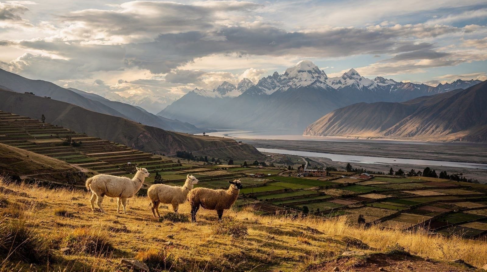 Best time to visit Peru: seasons by region explained — When to visit Peru in 2026: dry and wet seasons by region for the Andes, coast a