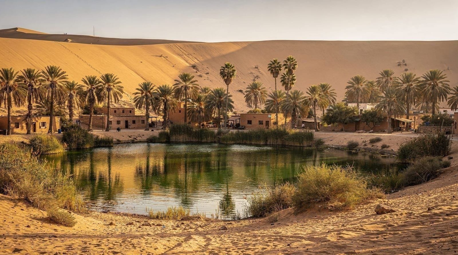 Huacachina guide — Plan Huacachina: the desert oasis near Ica, dune-buggy and sandboard costs, wher