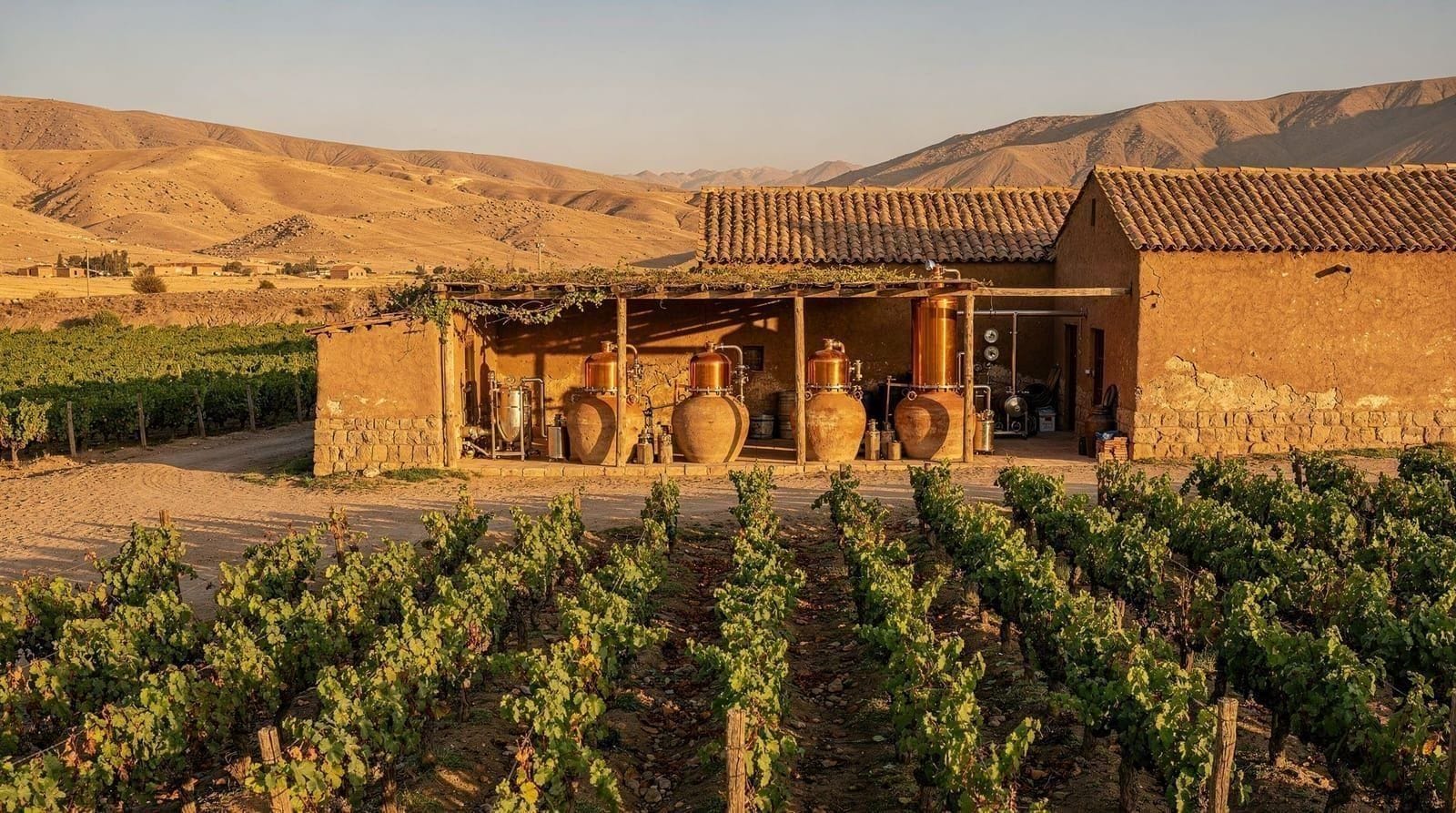 Ica vineyards and pisco: bodegas, tastings and an honest guide — An honest guide to Ica's bodegas — Tacama, Vista Alegre, El Catador — with price