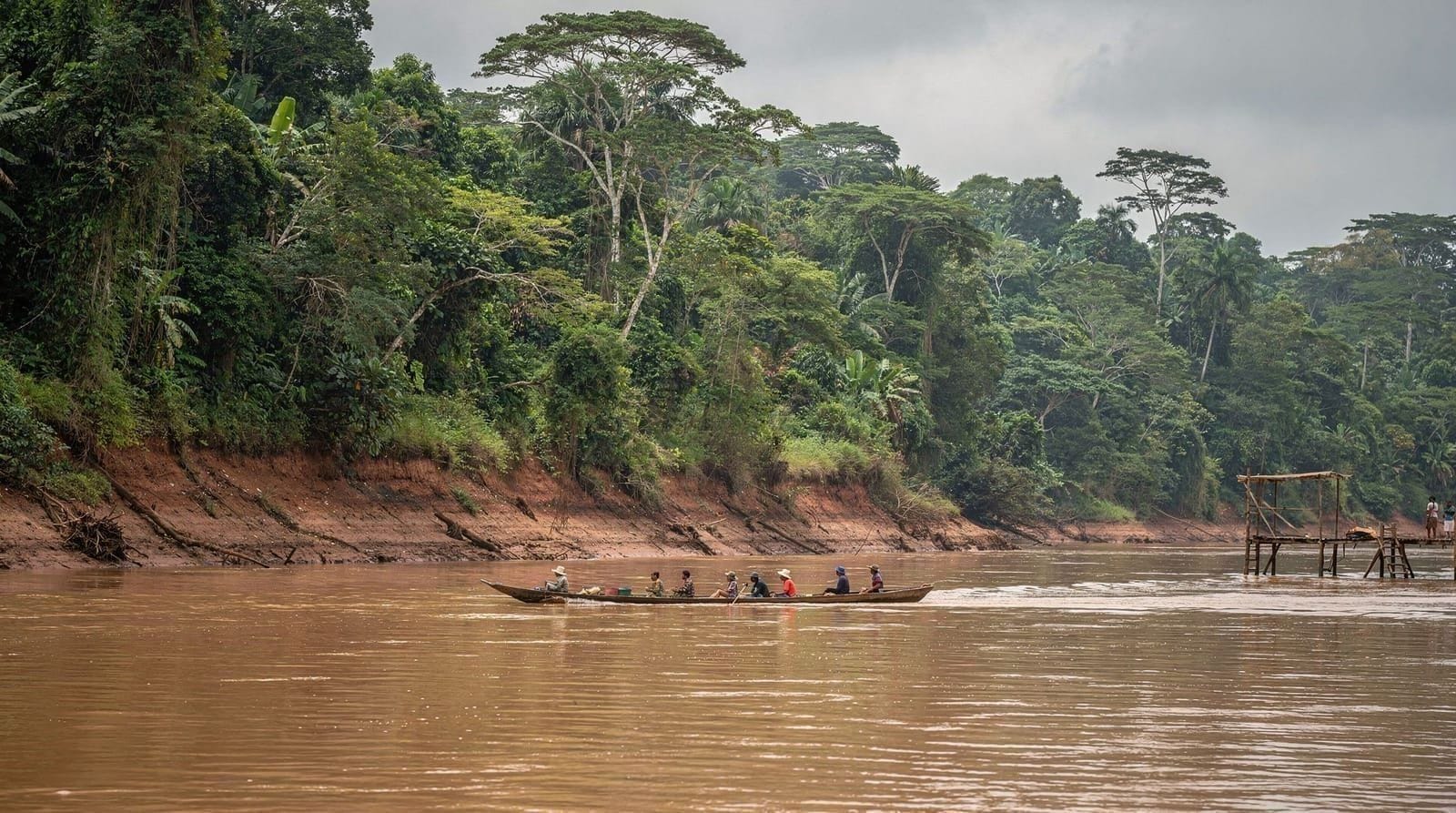 Iquitos vs Puerto Maldonado — Iquitos vs Puerto Maldonado for your Peru Amazon trip — access, cost, wildlife, 