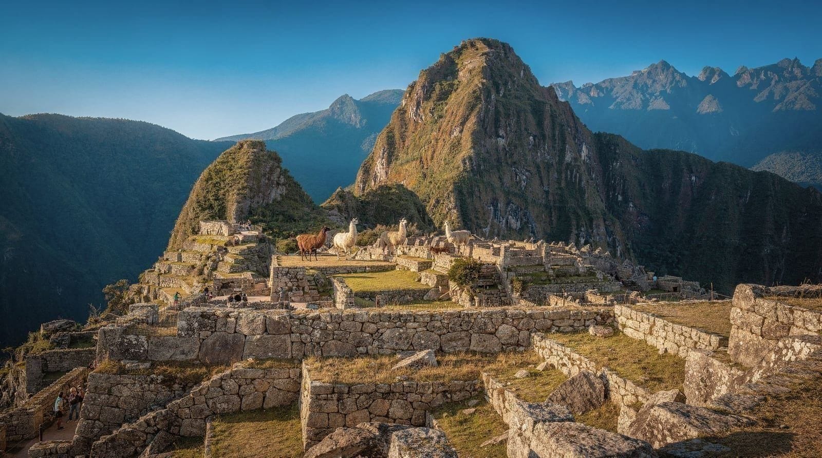 Machu Picchu in each month: weather, crowds and prices — A month-by-month breakdown of Machu Picchu weather, crowds, prices and view odds