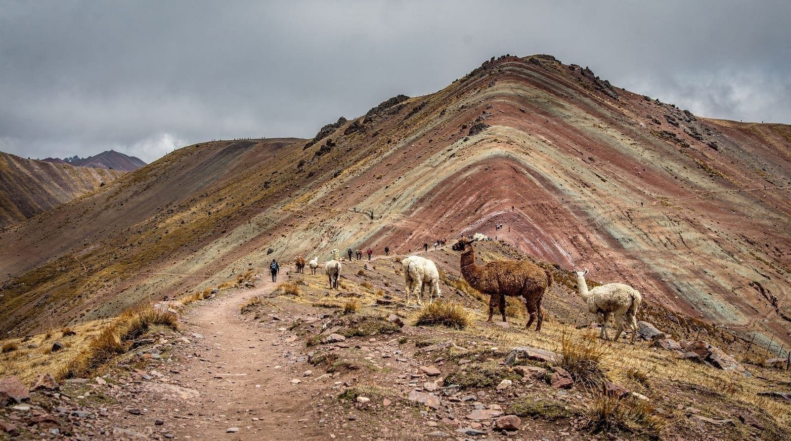 Palccoyo day trip — Plan a Palccoyo day trip from Cusco: the gentle rainbow mountain alternative wit