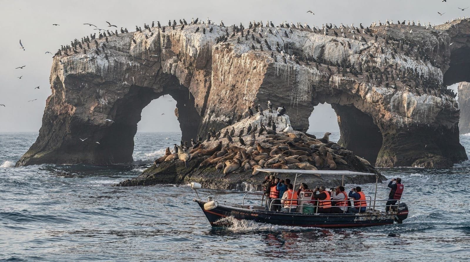 Paracas vs Ballestas: which is worth your time and money? — Paracas National Reserve or Ballestas Islands? An honest comparison of cost, tim