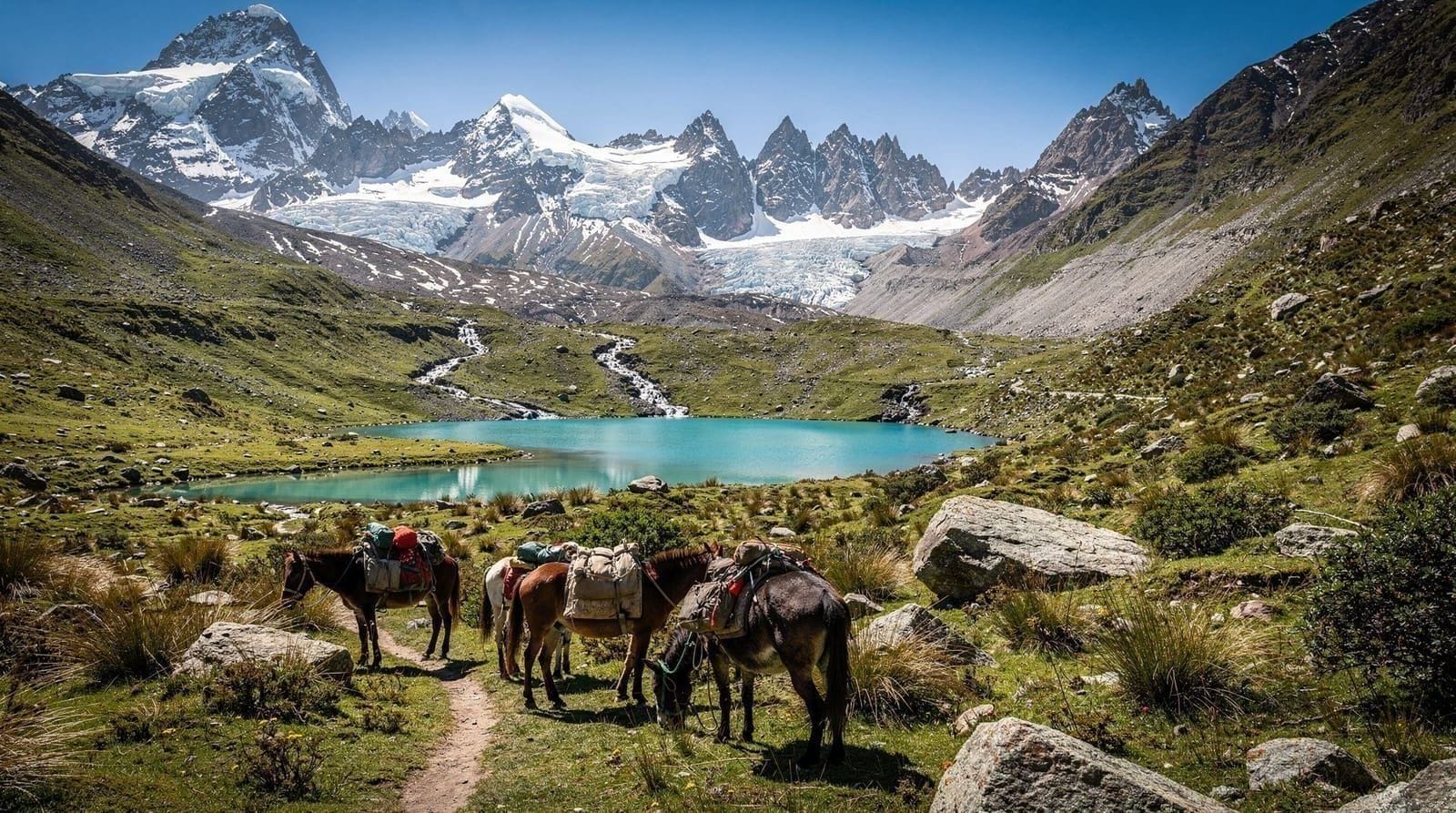 Santa Cruz trek guide: the classic 4-day Cordillera Blanca route — An honest 4-day Santa Cruz trek guide: route profile, Punta Unión pass, costs in
