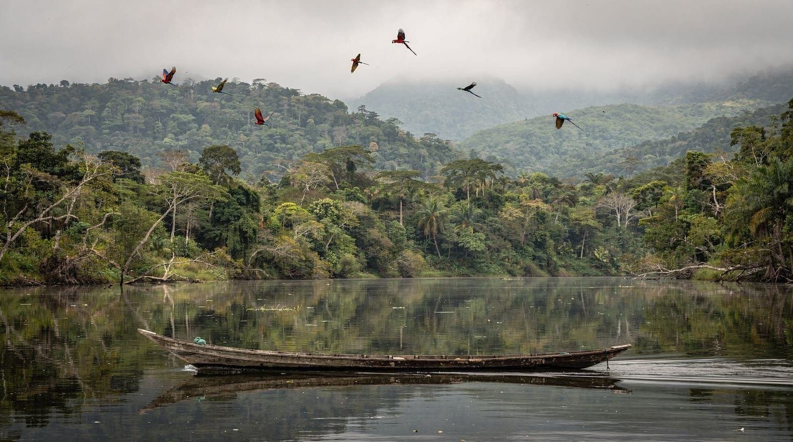 Tambopata vs Manu: choosing your southern Peru Amazon — Tambopata vs Manu National Park compared: access, wildlife, cost, days needed, a