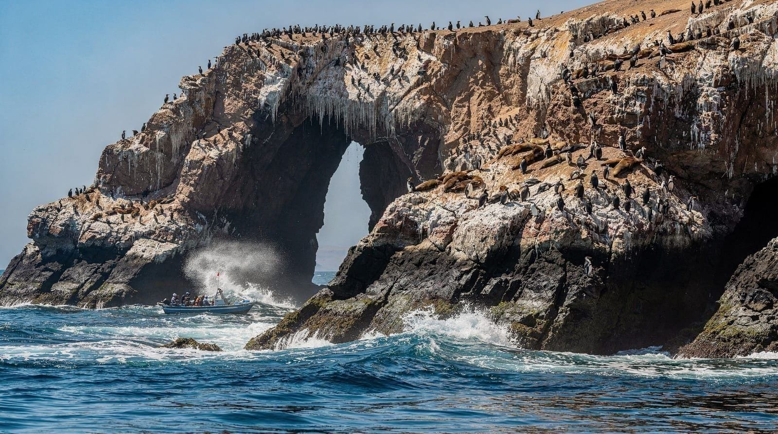 Ballestas Islands and National Reserve tour review: the full Paracas day — Honest review of the Paracas Ballestas Islands and Reserve tour: price in soles 